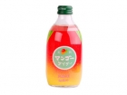 日本碳酸汽水芒果味  T- Mango Flavour Carbonataed Drink (Glass)